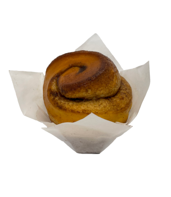 Cinnamon Brioche